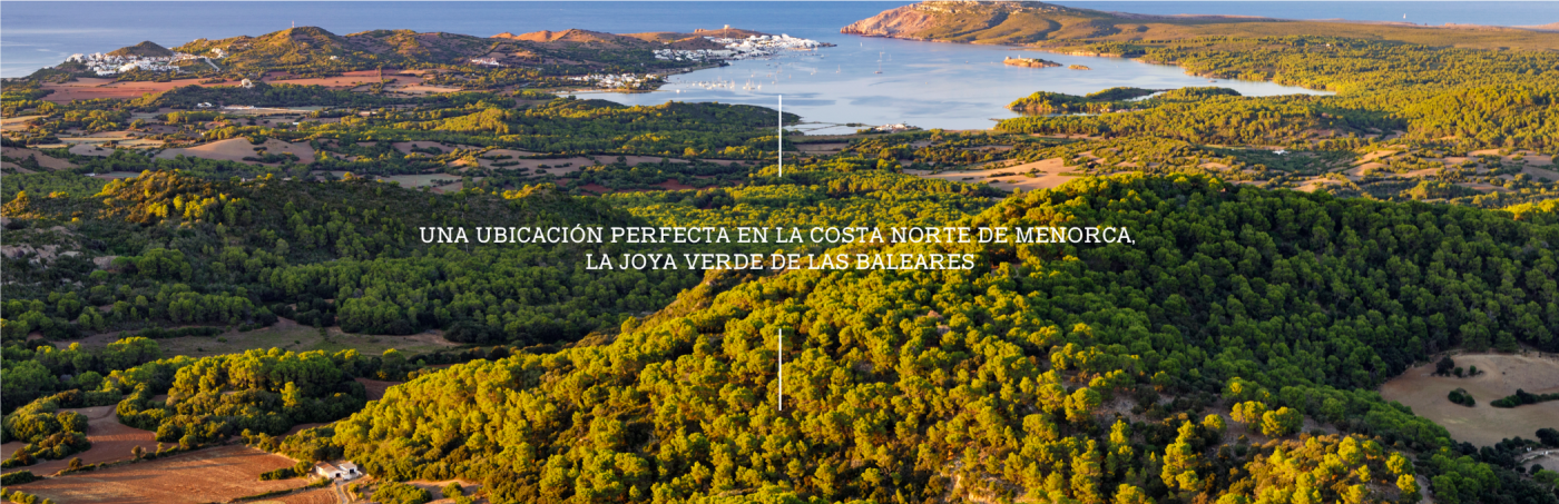 BANNER-ARBOL
